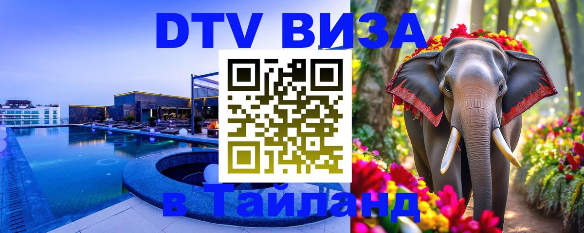 Сколько стоит DTV виза — актуальные цены, оформление даже без документов - 20.11.2025 
